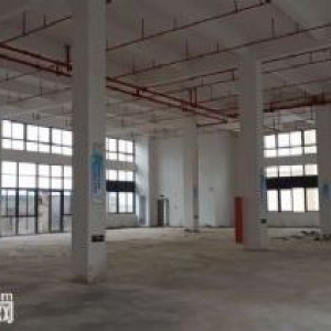 标准厂房出租，有意联系，非中介