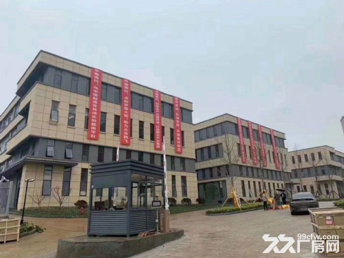 出售600−3000㎡高标厂房，50年独立产权，产品丰富，可自由组合！-图5