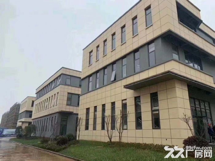 出售600−3000㎡高标厂房，50年独立产权，产品丰富，可自由组合！-图4