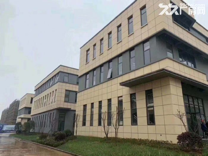 金华金西50年独立产权标准厂房，低总价、可按揭、可抵押！-图4