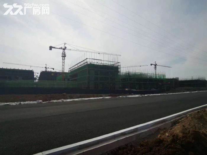 厂房出售800平，适合电商，玩具，相框，箱包类客户入驻，首付30万