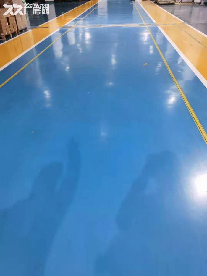 专业承接厂房翻新 环氧地坪固化地坪